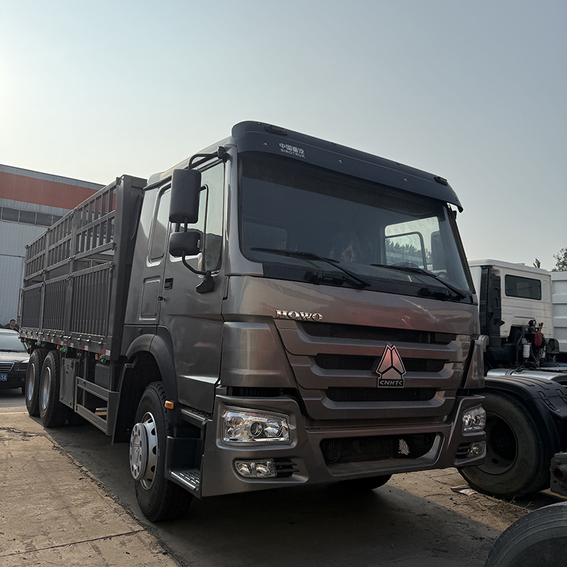 HOWO 6×4 Gray Cargo Truck